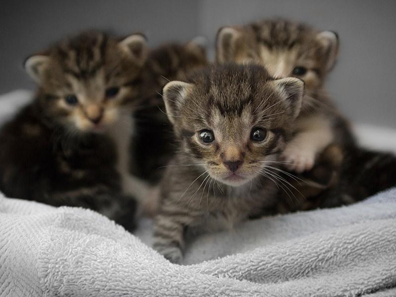care-unsplash3 About